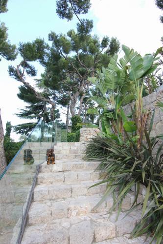 Les escaliers mentant aux jardins inférieurs