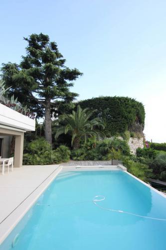 De grands arbres et de belles haies