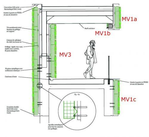 Plan de coupe