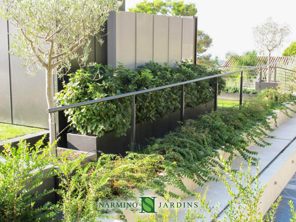 Arrangements végétaux