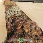 Mineral atmosphere and herbs in a villa near Eze sur Mer