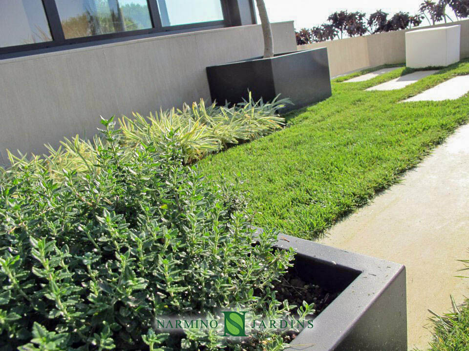 Arrangements végétaux