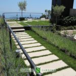 A green roof we made