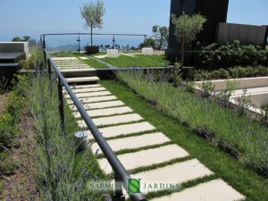 Un toit terrasse végétalisé