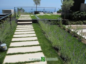 A green roof terrace