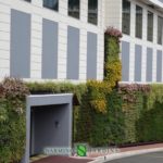 Portions of green walls in Monaco