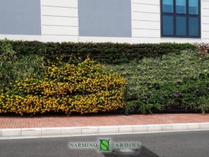 Portions of green walls in Monaco