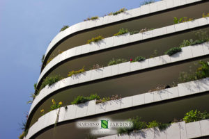 Façade et jardinières en Principauté de Monaco immeuble la Petite Afrique