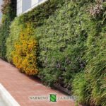 Portions of green walls in Monaco