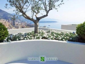 Planter maintenance on the roof of a building in Monaco