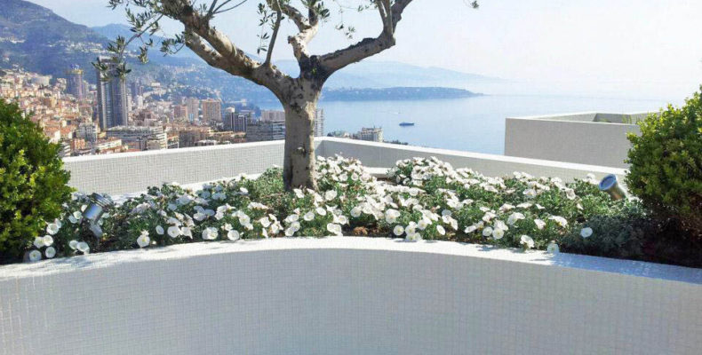 Planter maintenance on the roof of a building in Monaco