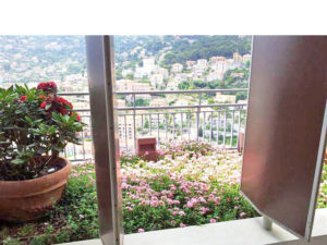 Entretien de plantes sur un balcon