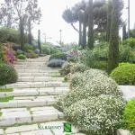 Landscape maintenance of a garden on the French Riviera