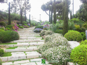 Landscape maintenance of a garden on the French Riviera