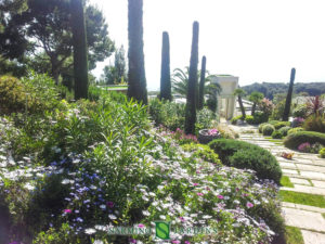 Landscape maintenance of a garden on the French Riviera
