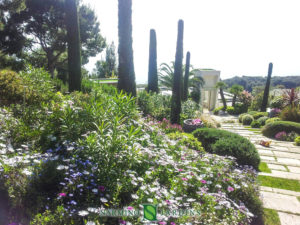 Entretien paysager d'un jardin sur la Côte d'Azur