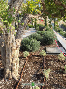 Realization and maintenance of a roof terrace in Monaco