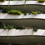 Façade and window boxes in the Principality of Monaco, La Petite Afrique building