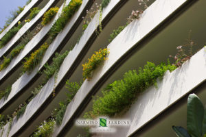 Façade et jardinières en Principauté de Monaco