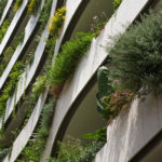 Façade and window boxes in the Principality of Monaco, La Petite Afrique building