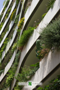 Façade and window boxes in the Principality of Monaco, La Petite Afrique building