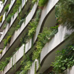 Façade and window boxes in the Principality of Monaco