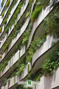 Façade and window boxes in the Principality of Monaco