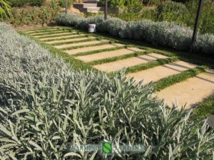 Garden in a villa in Villefranche