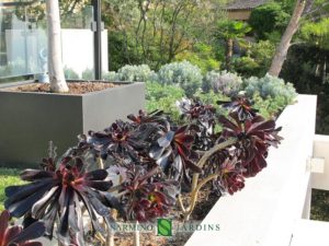 Planter in a villa in Eze