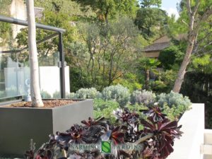 Jardinière dans une villa à Eze