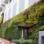 Green wall in front of a building
