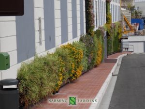 A beautiful green wall we installed