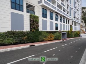 A beautiful green wall we installed