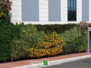 A beautiful green wall we installed