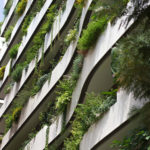 Façade and window boxes in the Principality of Monaco