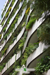 Façade and window boxes in the Principality of Monaco