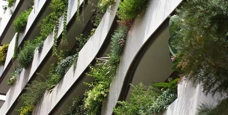 Façade and window boxes in the Principality of Monaco