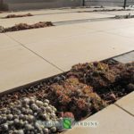 Mineral atmosphere and herbs in a villa near Eze sur Mer