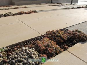 Mineral atmosphere and herbs in a villa near Eze sur Mer