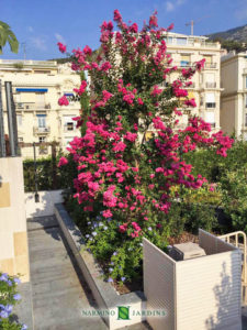 Réalisation et entretien d'un toit terrasse à Monaco