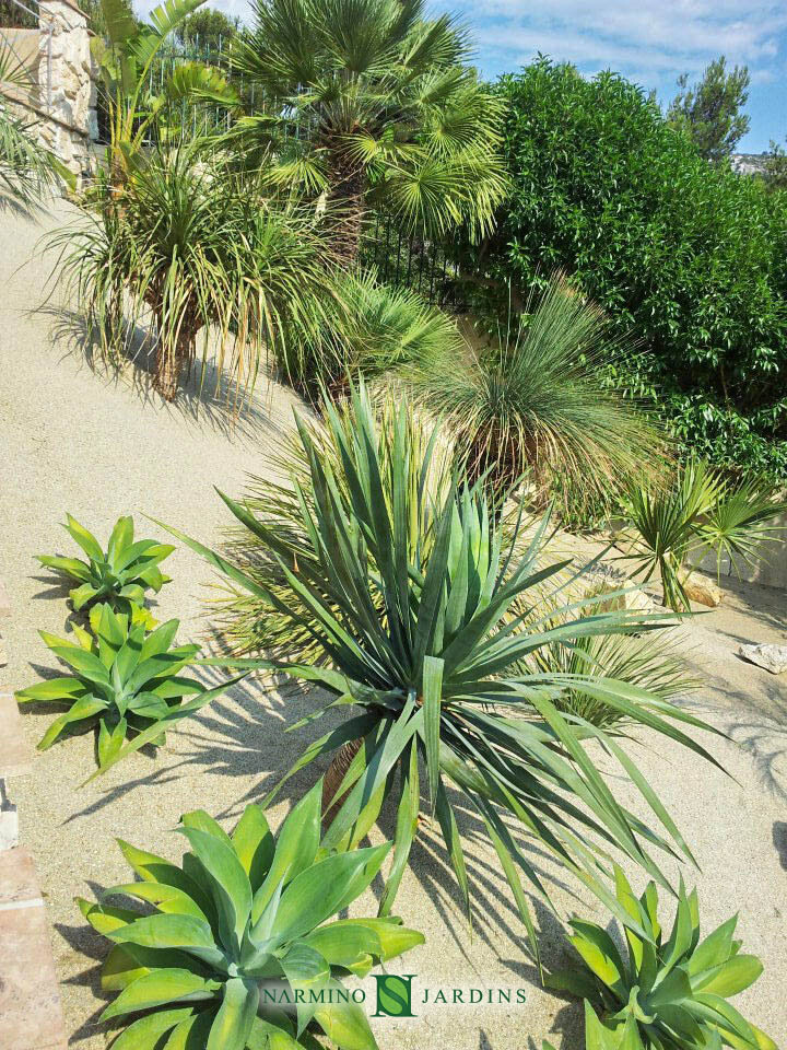Sable Et Plantes Tropicales Pour Ce Coin De Jardin Narmino Jardins Sable Et Plantes Tropicales Pour Ce Coin De Jardin Narmino Jardins
