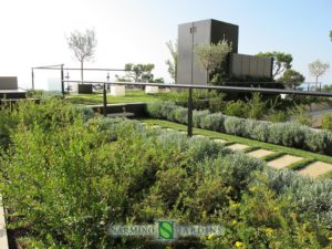 Green roof