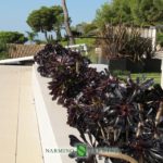 Green roof in a villa in Eze