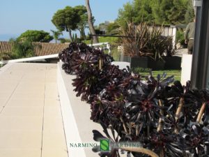 Green roof in a villa in Eze