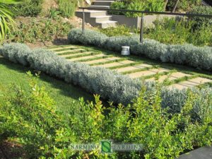 Green roof in a villa in Eze