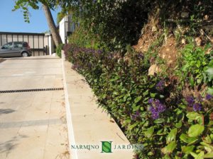 Travaux d'aménagement et jardinage