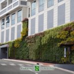 A green wall in Monaco