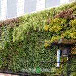 A green wall in Monaco