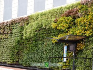 A green wall in Monaco