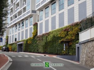 A green wall in Monaco